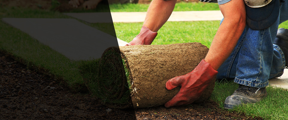 Brinklow Landscapers
